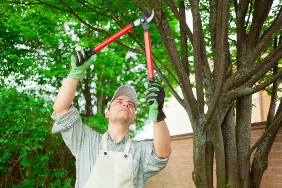 Landscape Maintenance