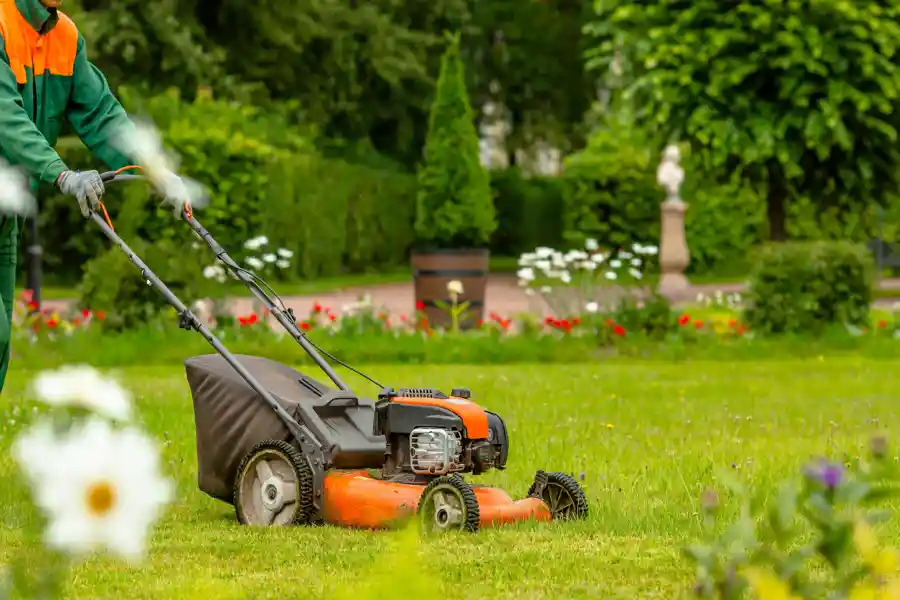 Lawn Care